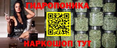 трава Абакан