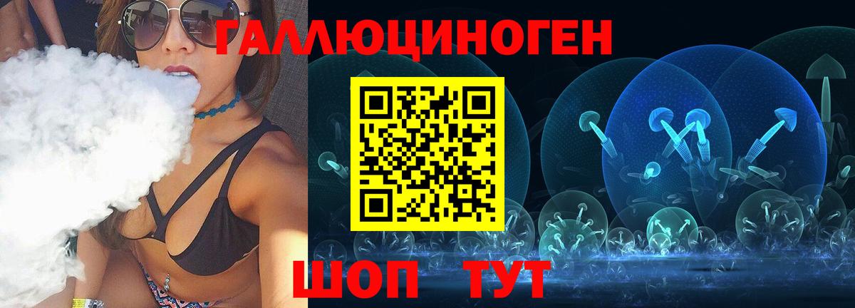 Галлюциногенные грибы Psilocybe Александров